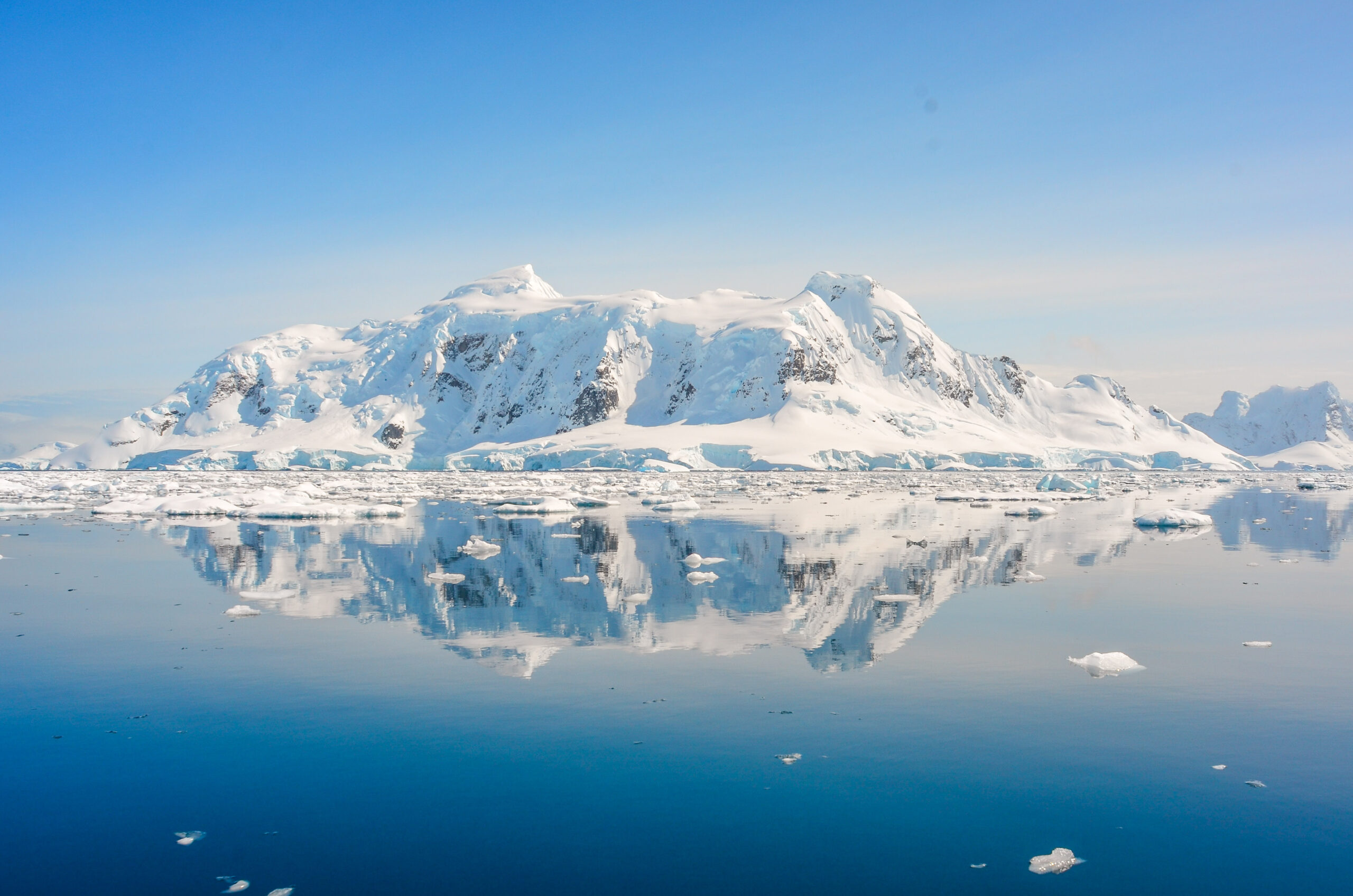 Antarctica, Part 3: Penguins and Paradise 🥰