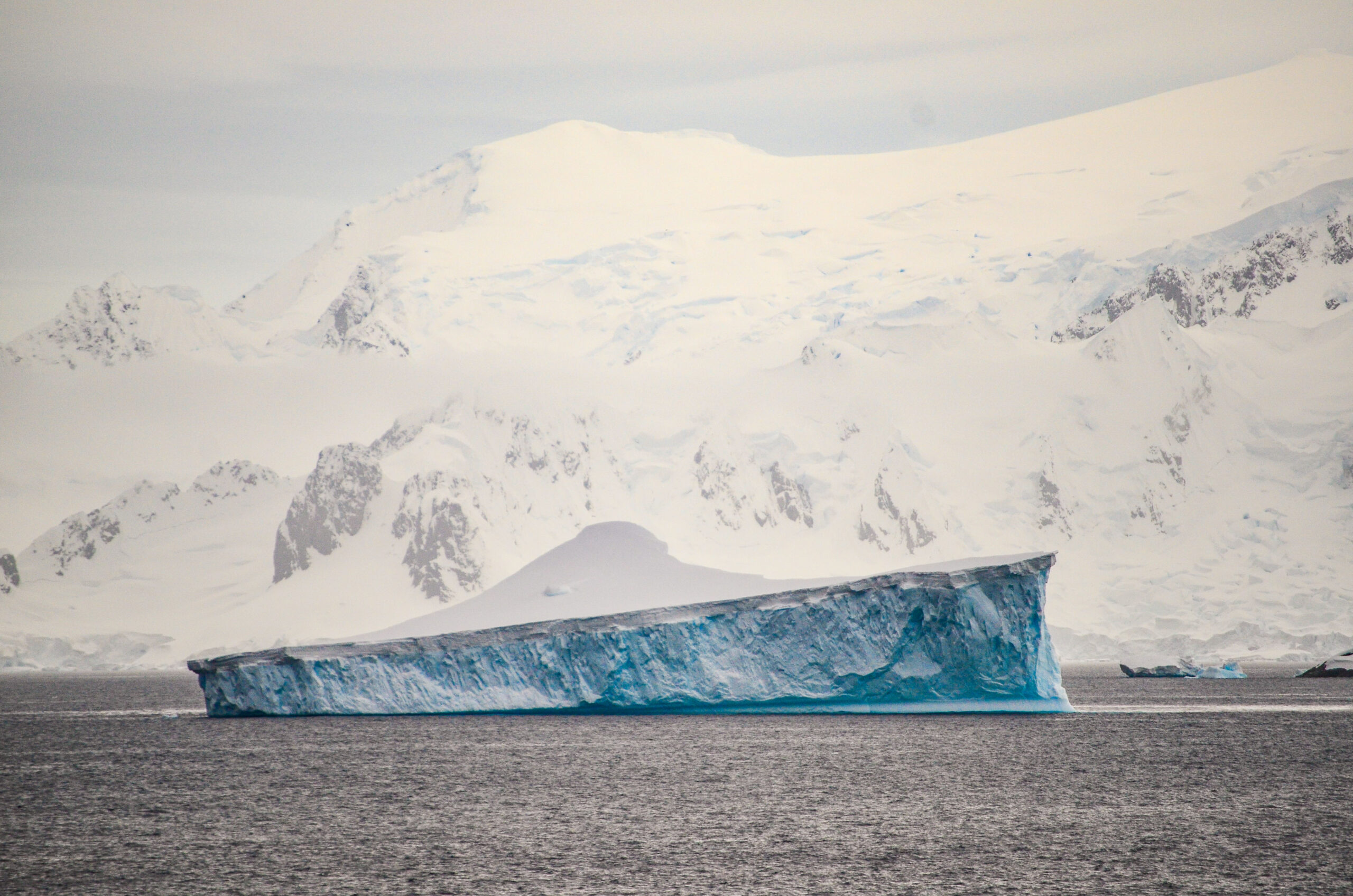 Antarctica, the Final Part: Prata Passage, Whales, & Your Q&A